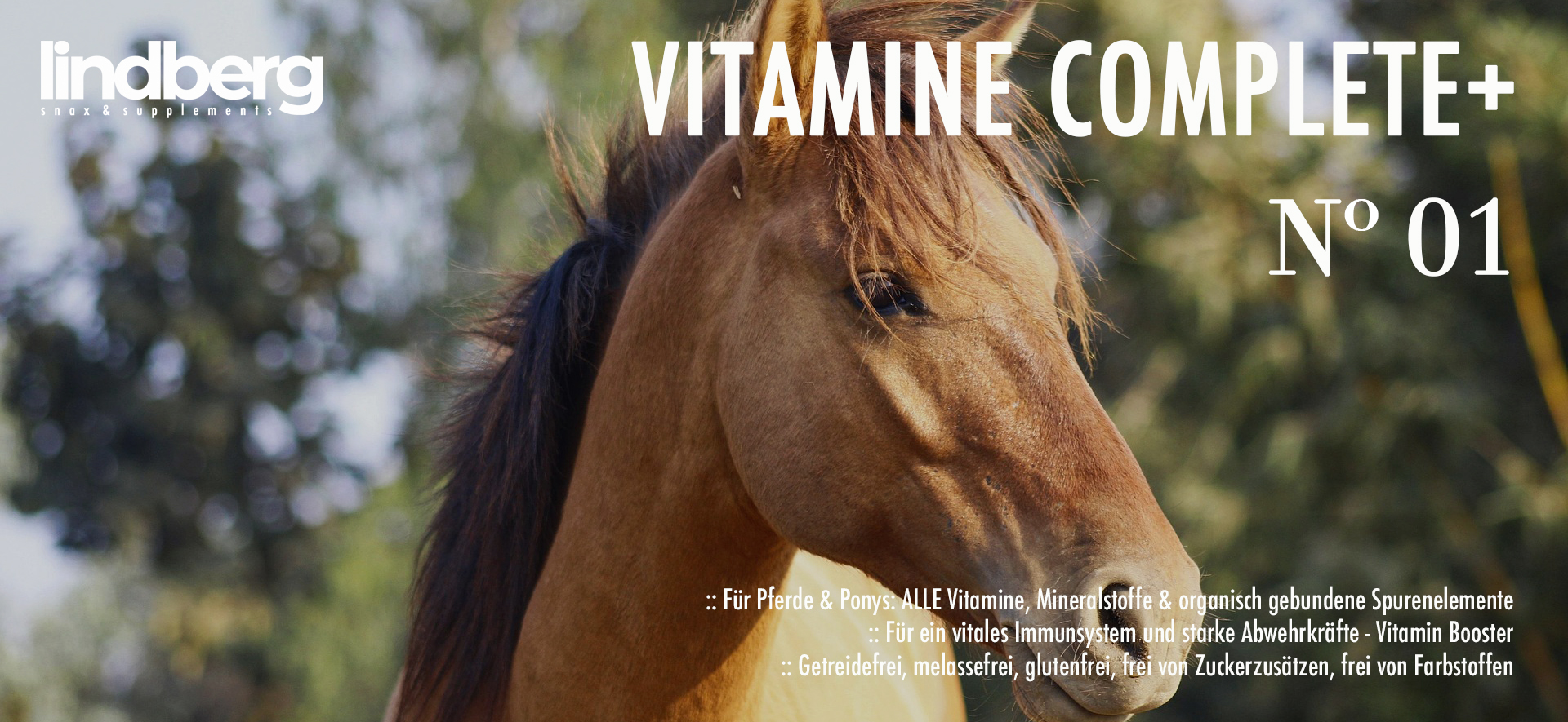 Lindberg Equestrian Vitamine Complete Plus alle Vitamine für Pferd und Pony